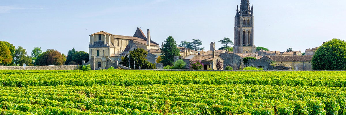 Cruises from Saint-Emilion