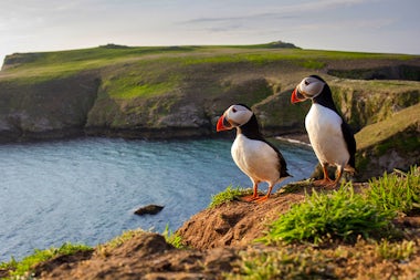 View of Skomer Island, Great Britain