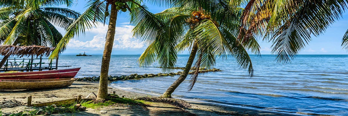 Cruises from Livingston
