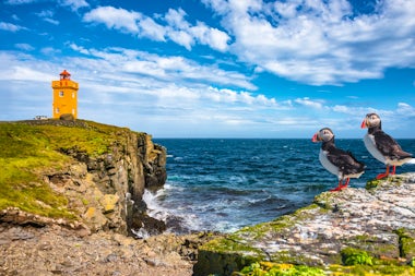 View of Grimsey Island, Iceland