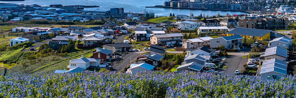 Cruises from Hafnarfjordur