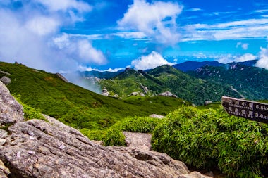View of Yakushima, Japan