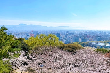 View of Matsuyama, Japan