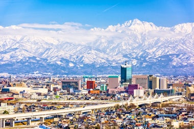 View of Toyama, Japan