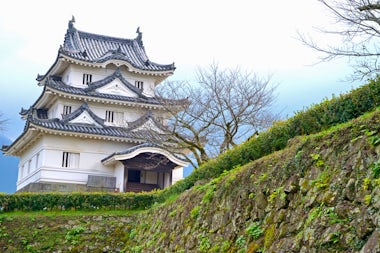 View of Uwajima, Japan