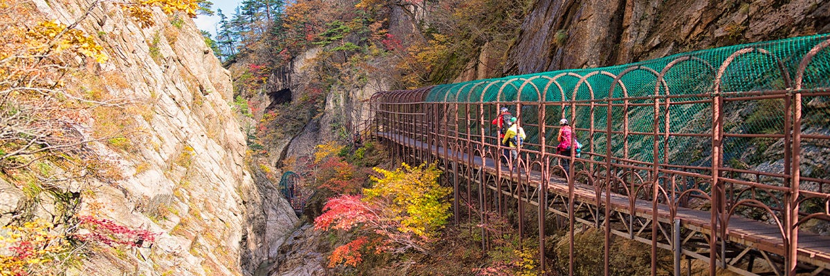 Cruises from Sokcho