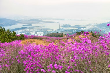 View of Yeosu, South Korea