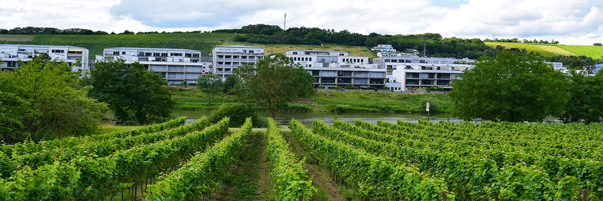 Cruises from Wasserbillig