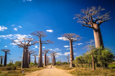 View of Morondava, Madagascar
