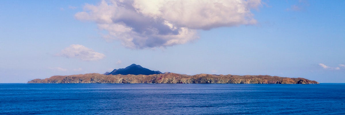 Cruises from Bahía Magdalena