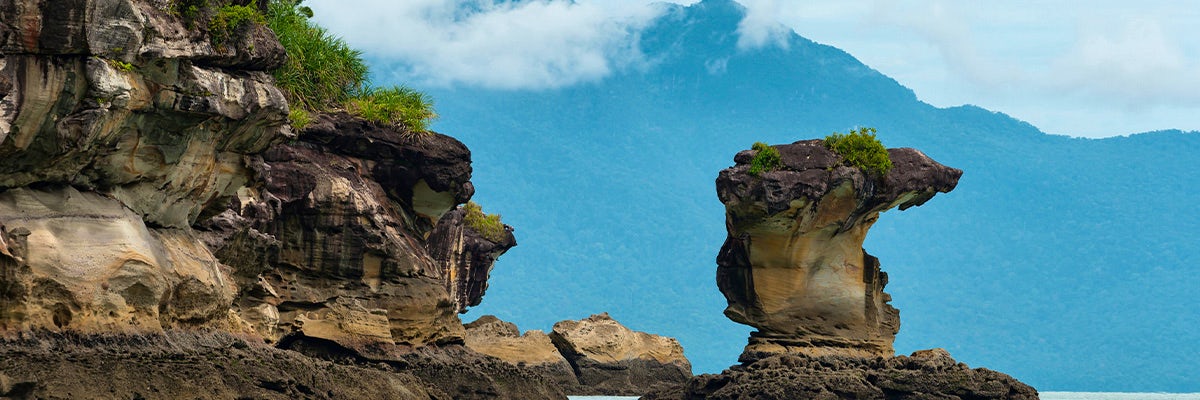 Cruises from Bako National Park