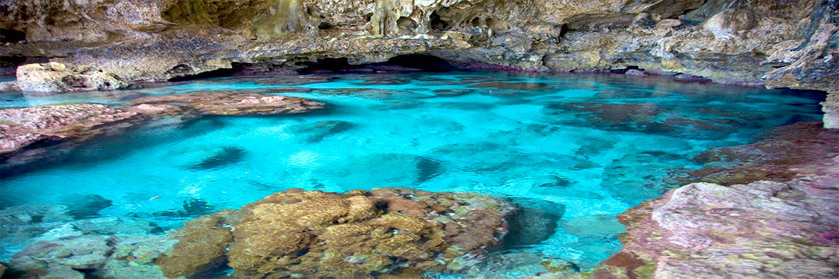 Cruises from Niue Island