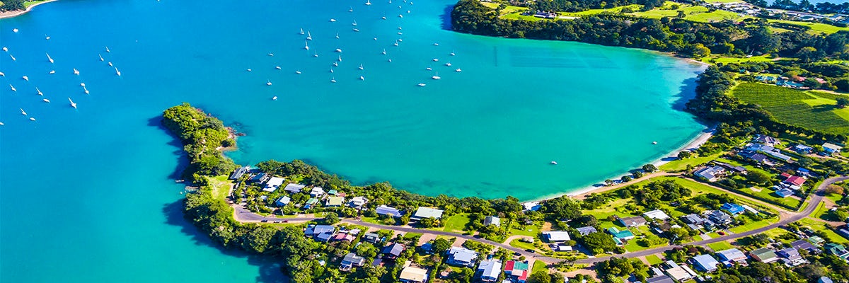 Cruises from Auckland Islands