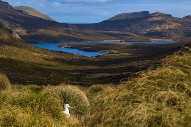 View of Campbell Island, New Zealand