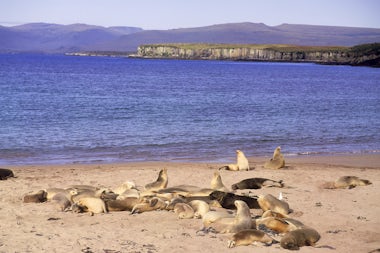 View of Enderby Island, New Zealand