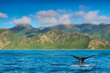 View of Kaikoura, New Zealand
