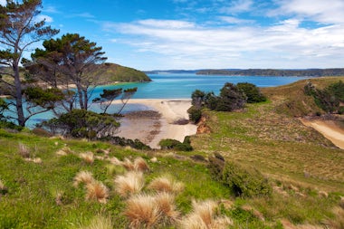View of Stewart Island, New Zealand