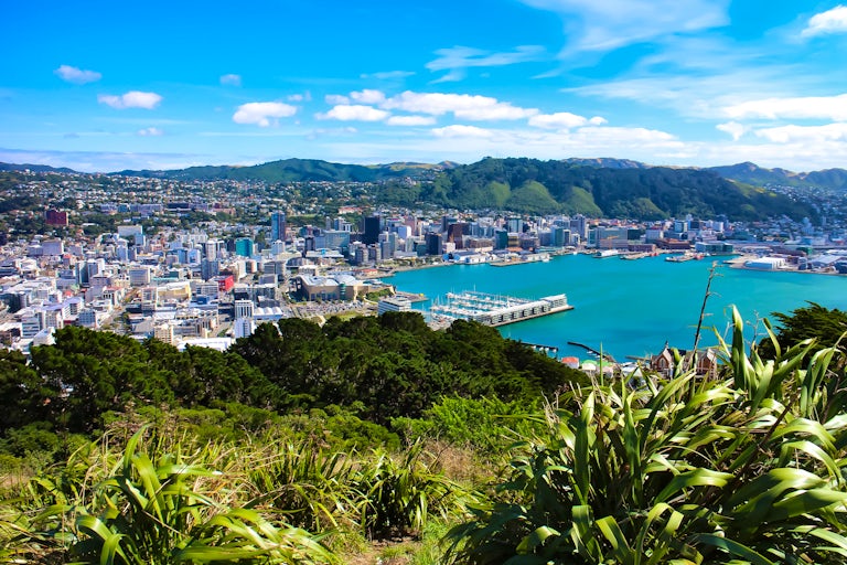 New Zealand Cruises 2023-2027 | Cruises from New Zealand $126/day