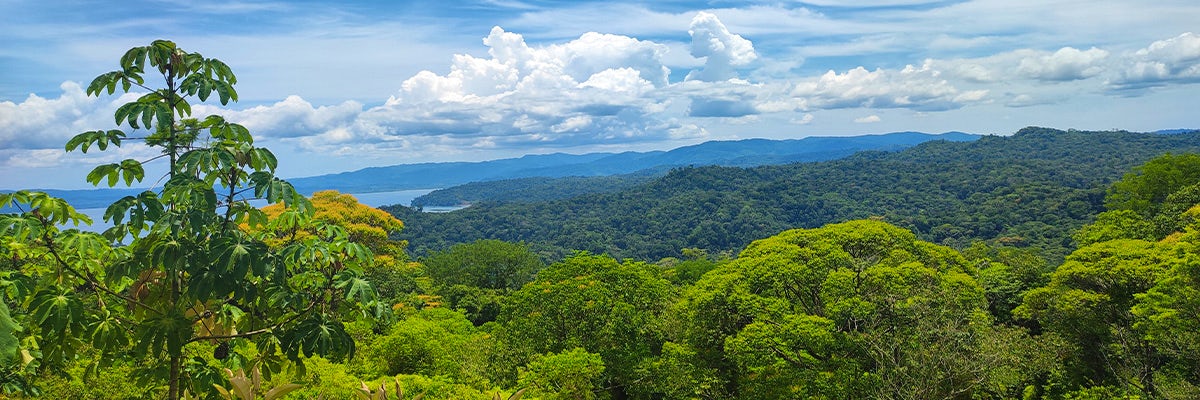 Cruises from Golfo Dulce