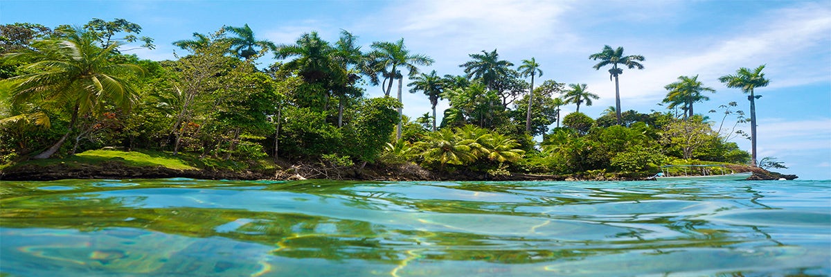 Cruises from Isla Parida