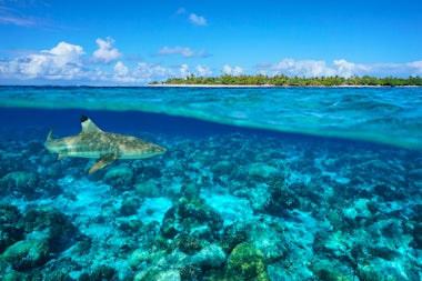 View of Rangiroa, French Polynesia