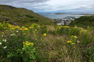 View of Miquelon, Saint Pierre and Miquelon