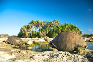 View of Aldabra, Seychelles