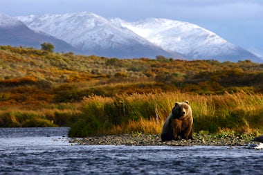 View of Kodiak, USA