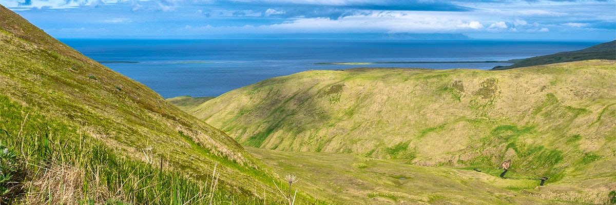 Cruises from Chagulak Island