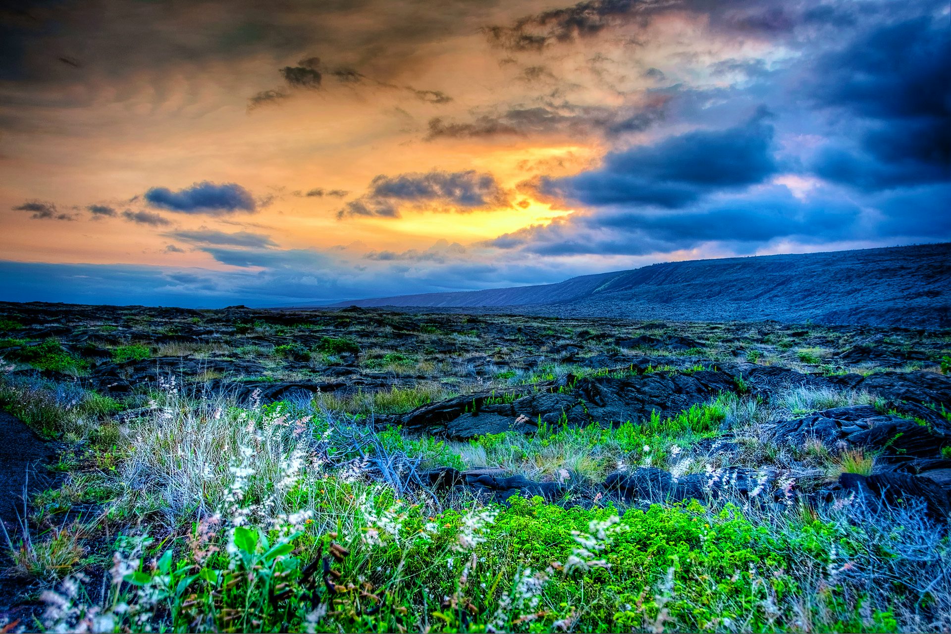  Hawaii Cruises 2024-2027 