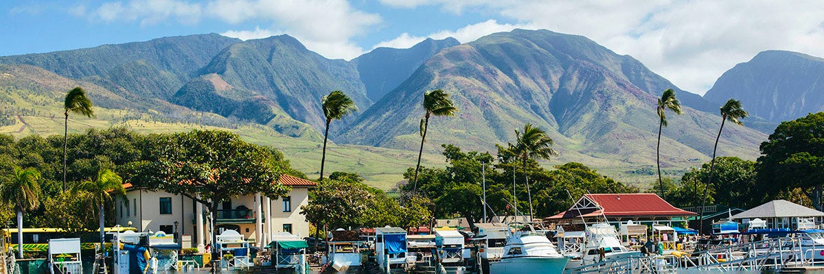 lahaina cruise company