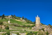 Image of Russell Meanders Through France’s Famed Wine Regions With Avalon