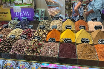 Image of Rita Experiences Athens and Adriatic Allure On Holland America’s Oosterdam