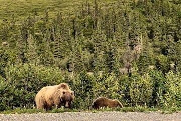 Benice and Natalya Explore Alaska and the Yukon with Holland America