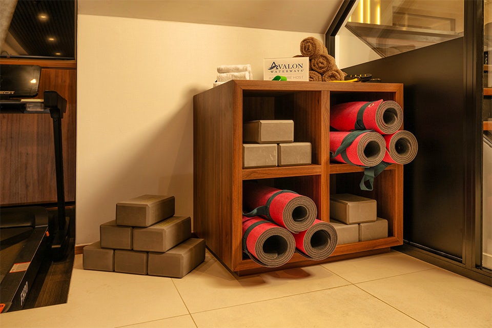 Fitness on the Avalon Alegria