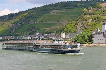 Image of Avalon Passion