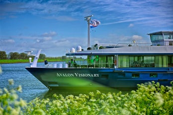 Image of Avalon Visionary