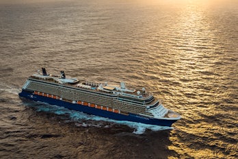 Image of Celebrity Reflection