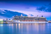 Image of Celebrity Reflection