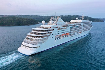 Image of Silver Muse