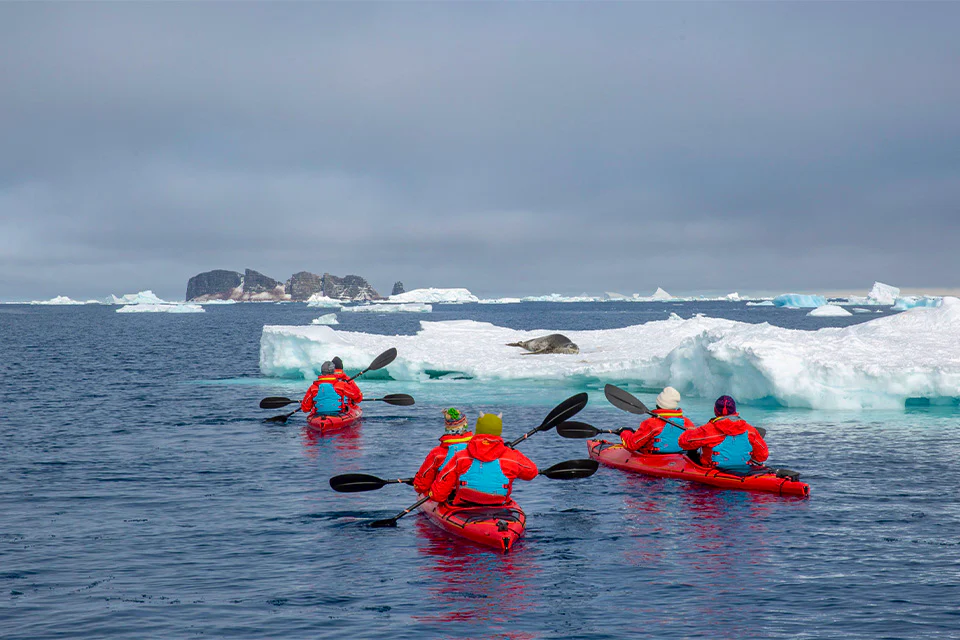 Activities on the SH Diana