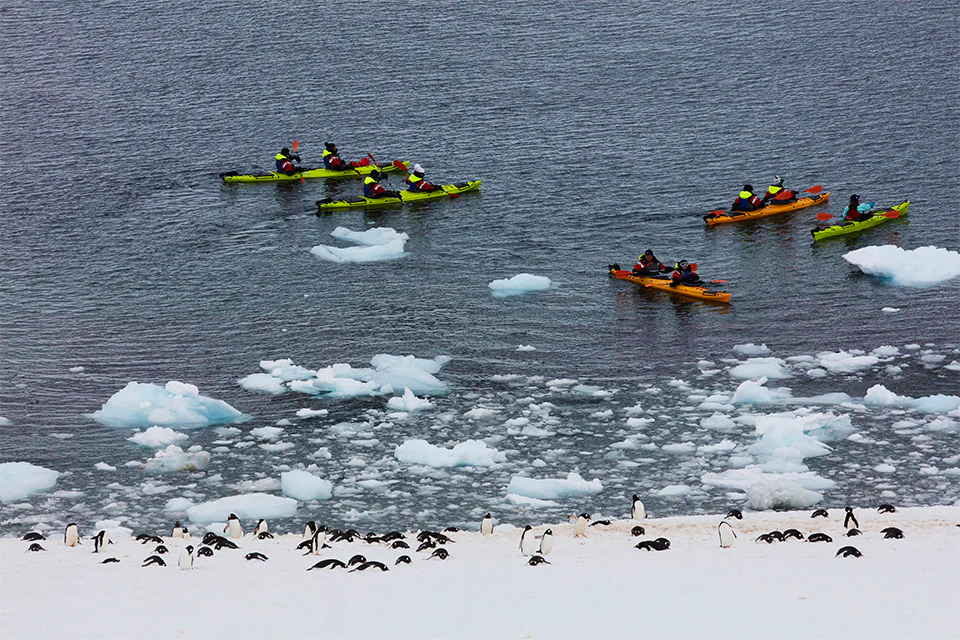 Activities on the SH Vega