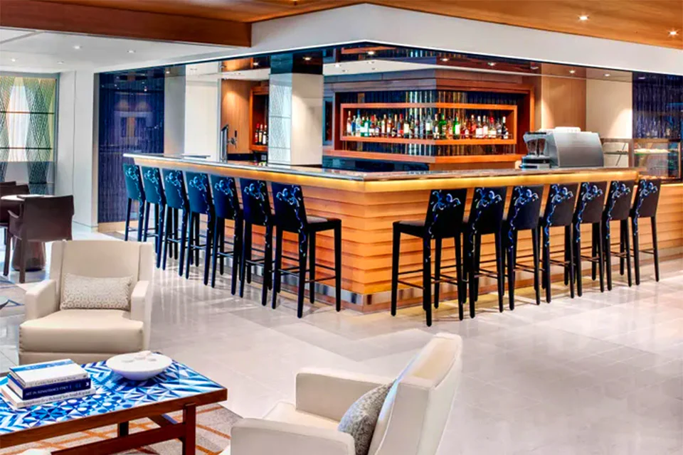 Bar on the Viking Mira