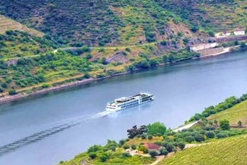 Image of Viking Torgil