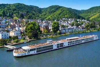 Image of Viking Vili